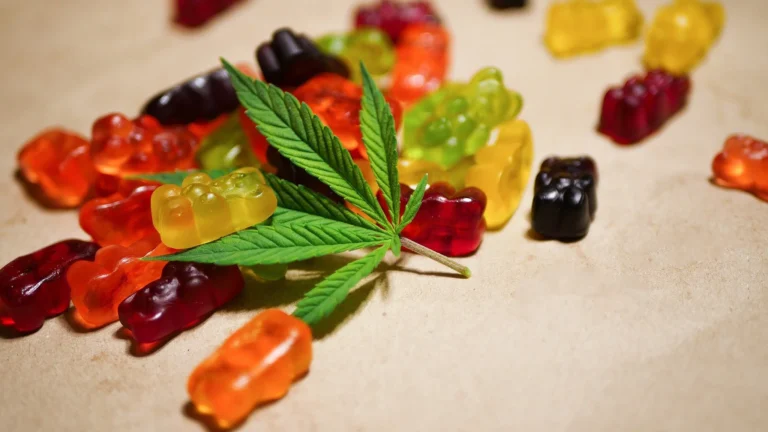 CBD Fruchtgummis oder THC Gummibären – Was passt zu dir?